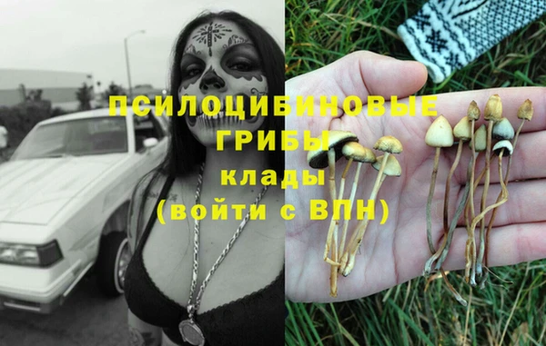 ПСИЛОЦИБИНОВЫЕ ГРИБЫ Щигры