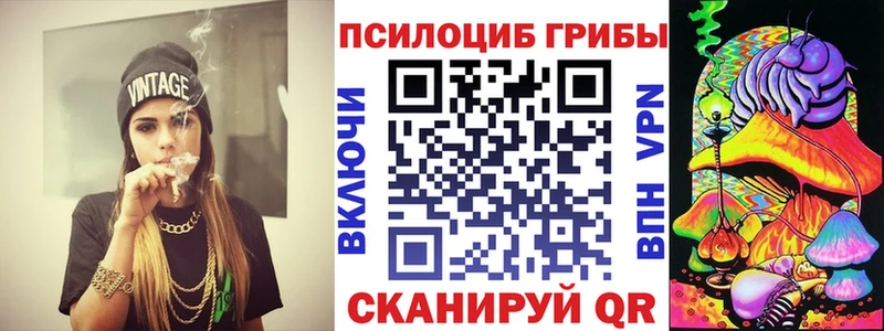 Псилоцибиновые грибы Psilocybine cubensis  где найти наркотики  Бокситогорск 