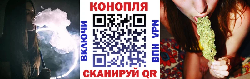 закладка  Бокситогорск  МАРИХУАНА сатива 